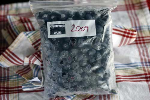 Blueberries-Frozen