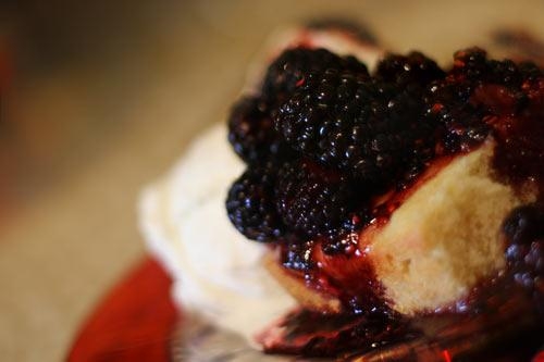 blackberry shortcake